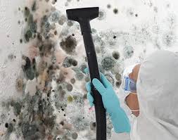 Best Mold Prevention Services in Fayetteville, PA